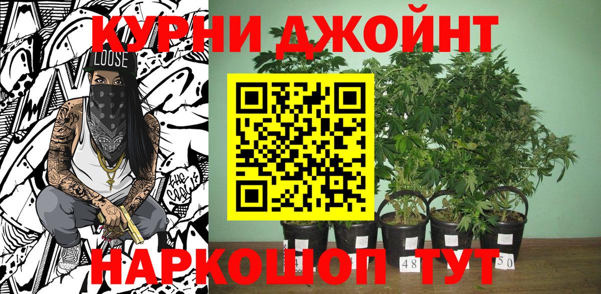 Каннабис гибрид  МАРИХУАНА OG Kush  Магнитогорск  Марихуана гибрид  Вход с VPN 